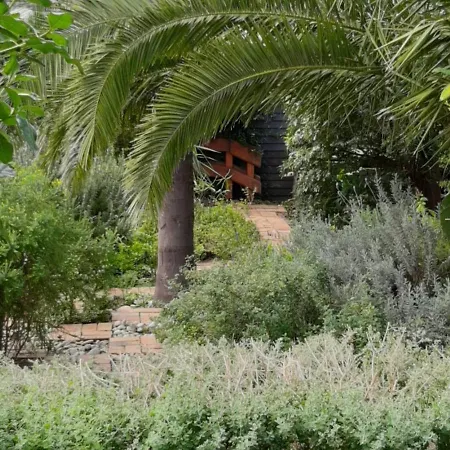 Birdsong Cottage Kapstadt Exterior foto